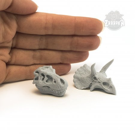 Dinosaur Skulls