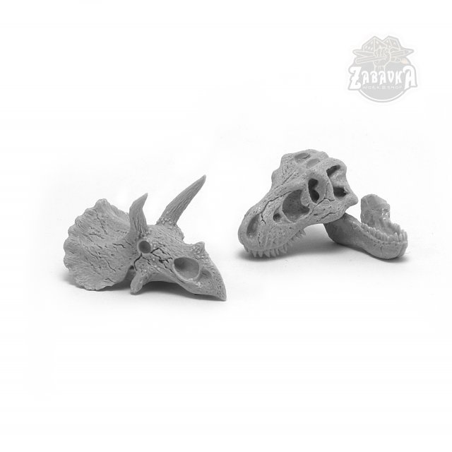 Dinosaur Skulls