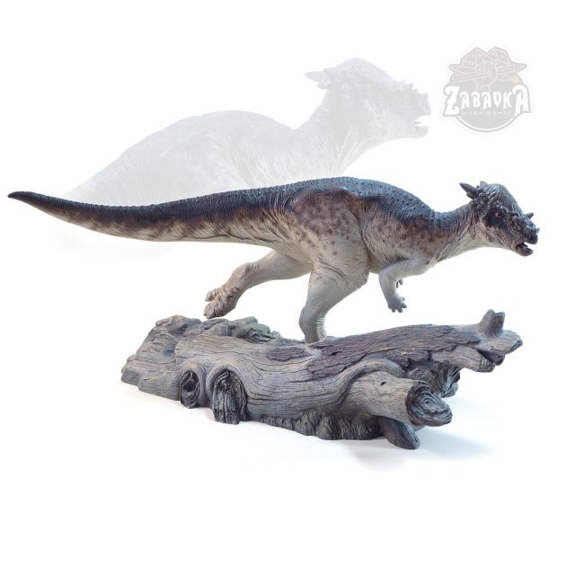 Pachycephalosaurus (165mm) Pachycephalosaurus (165mm)