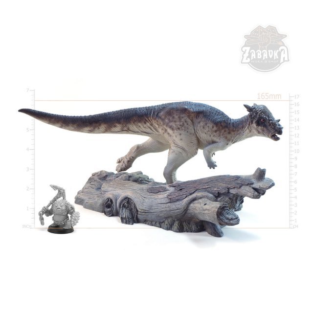 Pachycephalosaurus (165mm) Pachycephalosaurus (165mm)