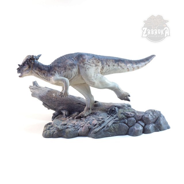 Pachycephalosaurus (165mm) Pachycephalosaurus (165mm)