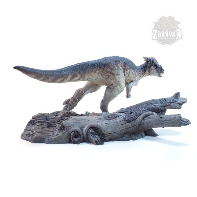 Pachycephalosaurus (165mm) Pachycephalosaurus (165mm)