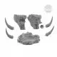 Demon Head - Bases Designer